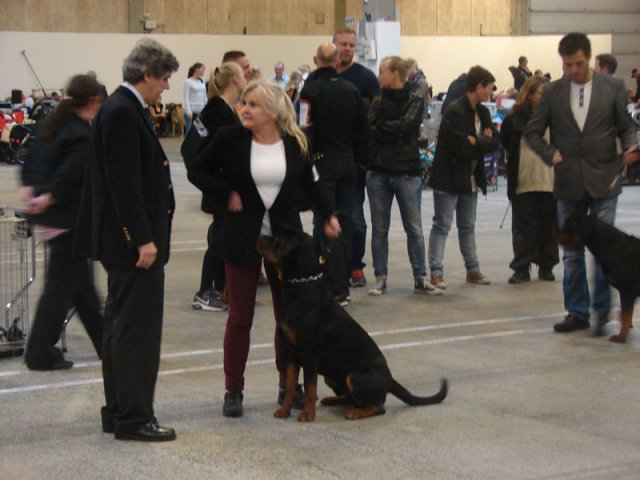 Herning Nov