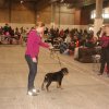 Herning Nov