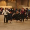 Herning Nov