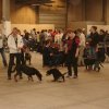 Herning Nov