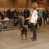 Herning Nov