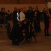 Herning Nov