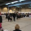 Herning Nov