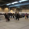 Herning Nov