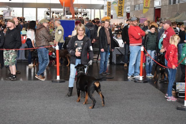 Rostock 2015