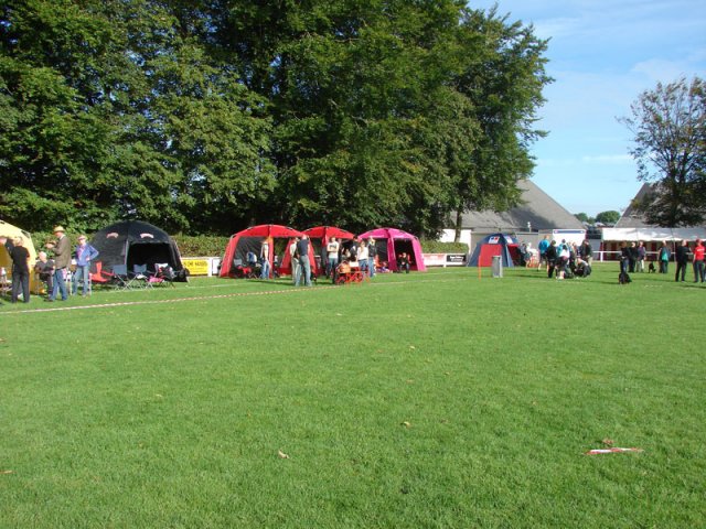 Rødding 2012 lørdag