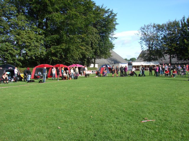 Rødding 2012 lørdag