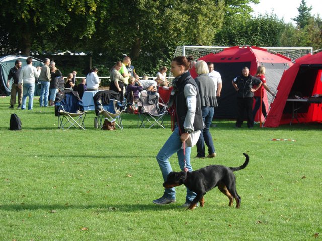 Rødding 2012 lørdag