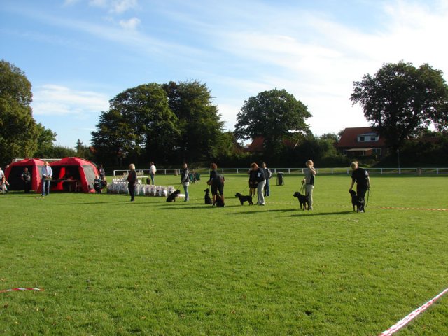 Rødding 2012 lørdag