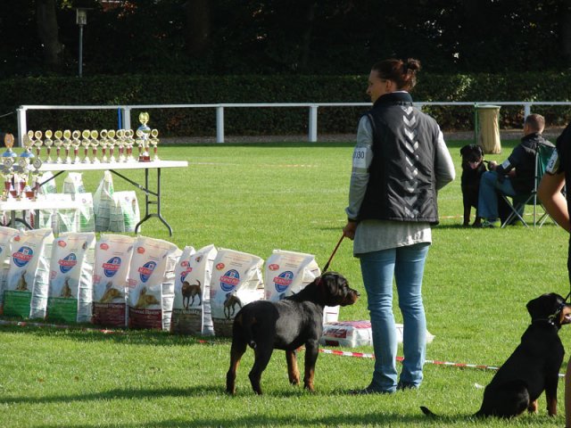 Rødding 2012 lørdag