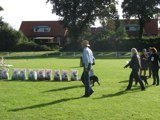 Rødding 2012 lørdag