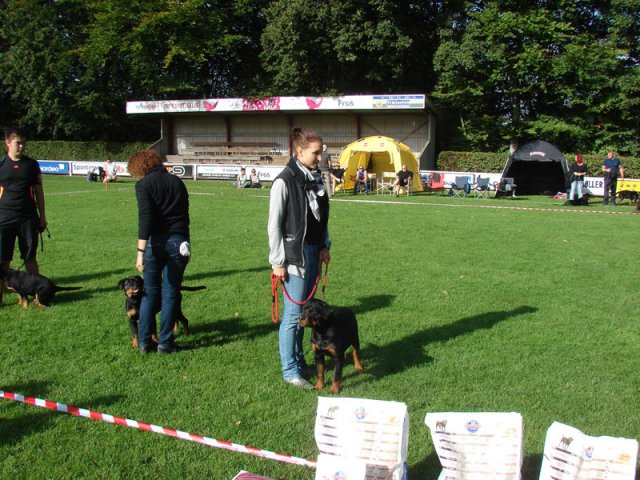 Rødding 2012 lørdag
