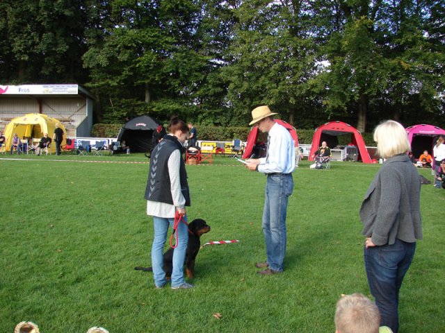 Rødding 2012 lørdag