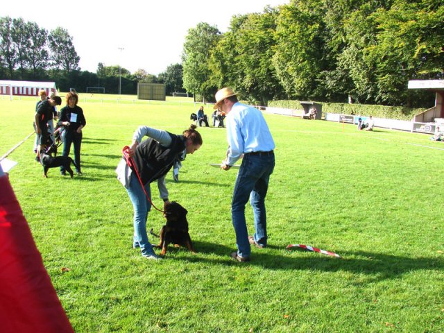 Rødding 2012 lørdag