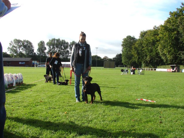 Rødding 2012 lørdag