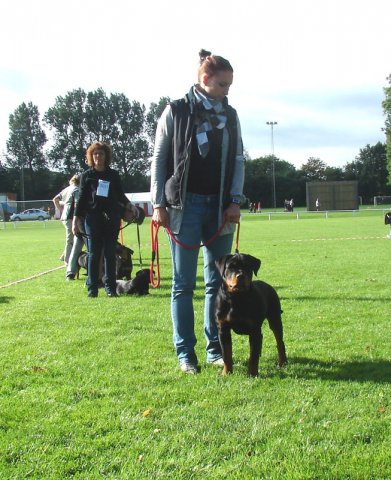 Rødding 2012 lørdag