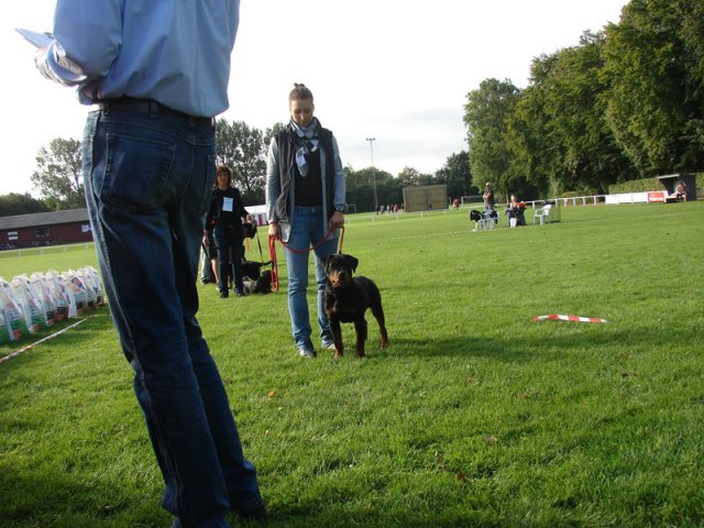Rødding 2012 lørdag