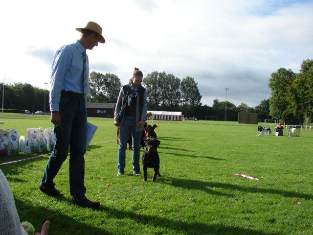 Rødding 2012 lørdag