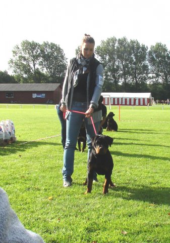 Rødding 2012 lørdag