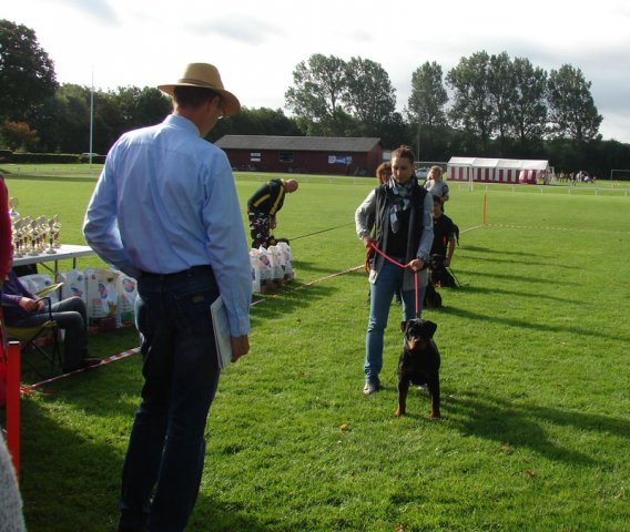 Rødding 2012 lørdag
