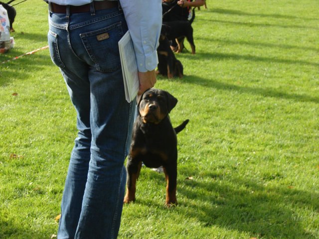 Rødding 2012 lørdag