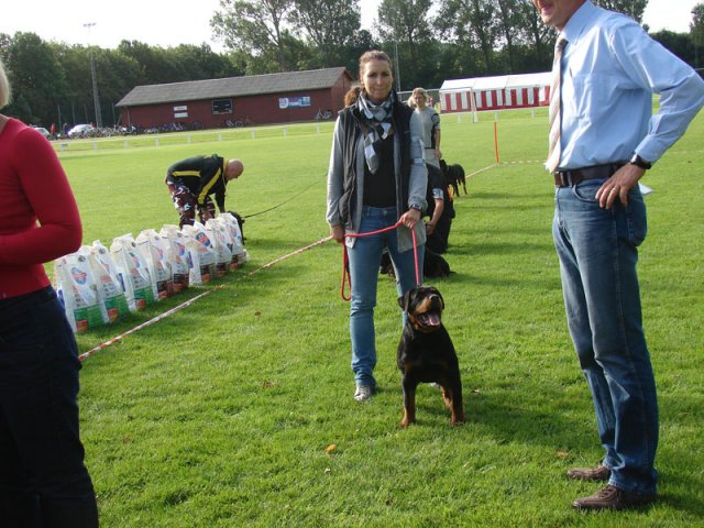 Rødding 2012 lørdag