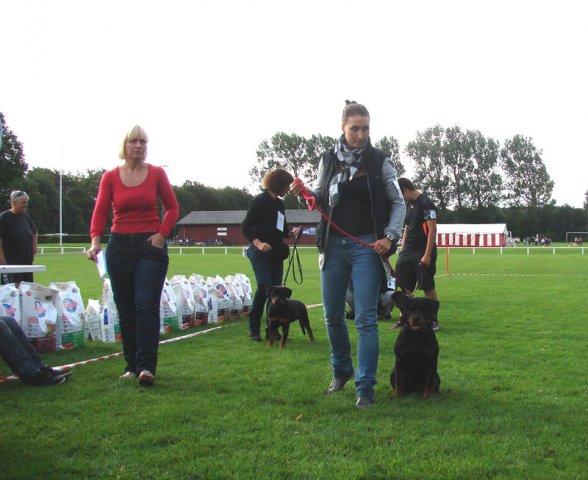 Rødding 2012 lørdag