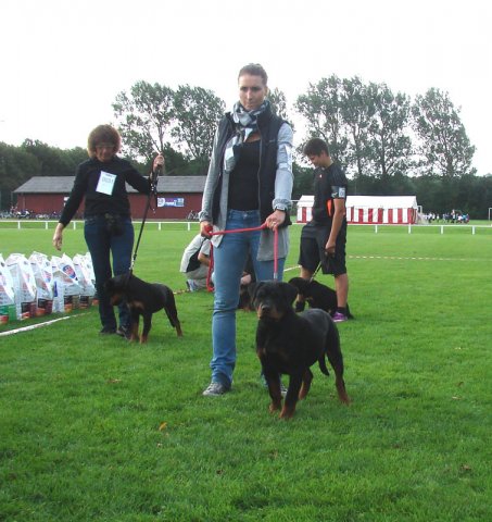 Rødding 2012 lørdag