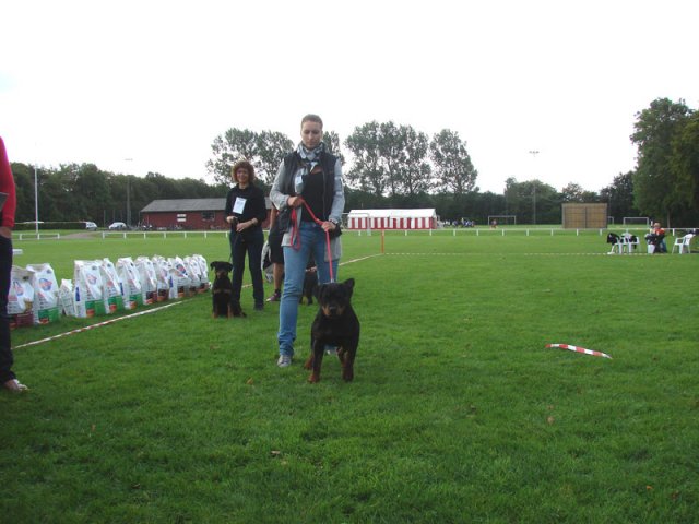 Rødding 2012 lørdag