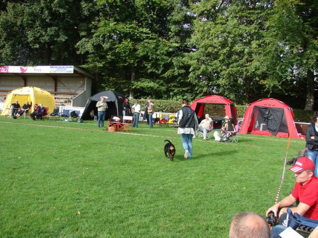 Rødding 2012 lørdag