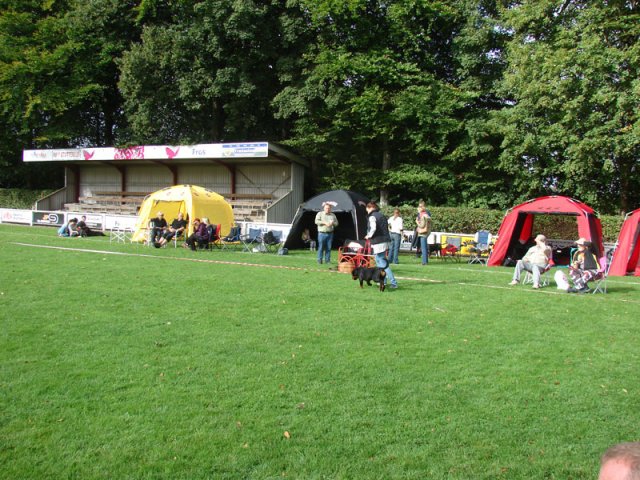 Rødding 2012 lørdag