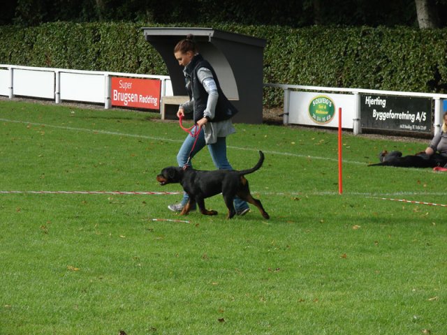 Rødding 2012 lørdag