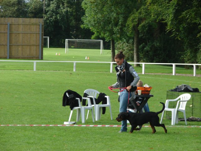 Rødding 2012 lørdag