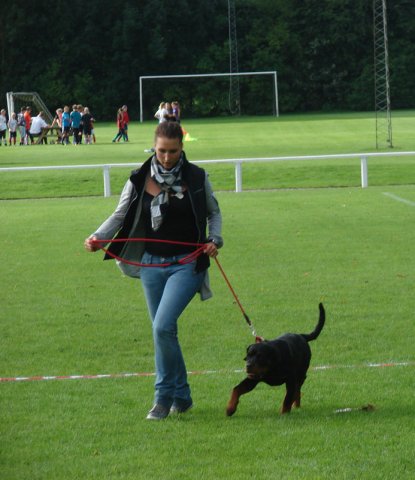 Rødding 2012 lørdag