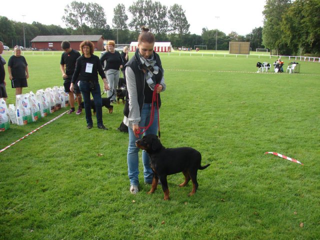 Rødding 2012 lørdag