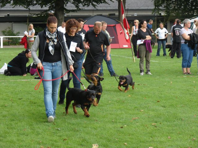 Rødding 2012 lørdag