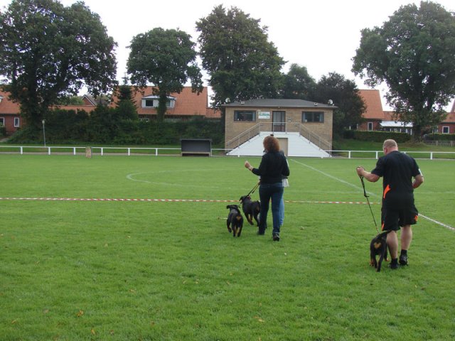 Rødding 2012 lørdag