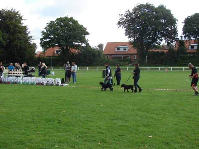 Rødding 2012 lørdag