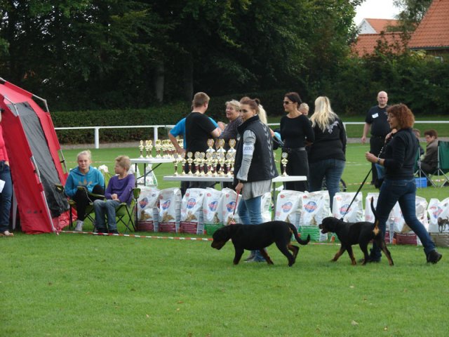 Rødding 2012 lørdag