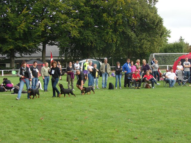 Rødding 2012 lørdag