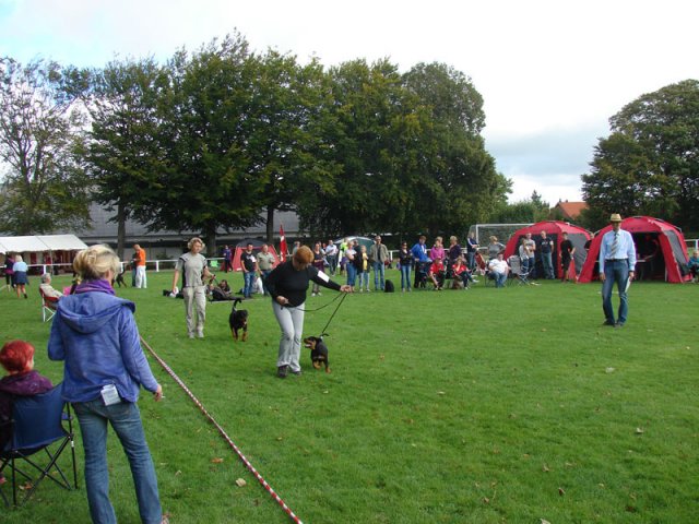 Rødding 2012 lørdag