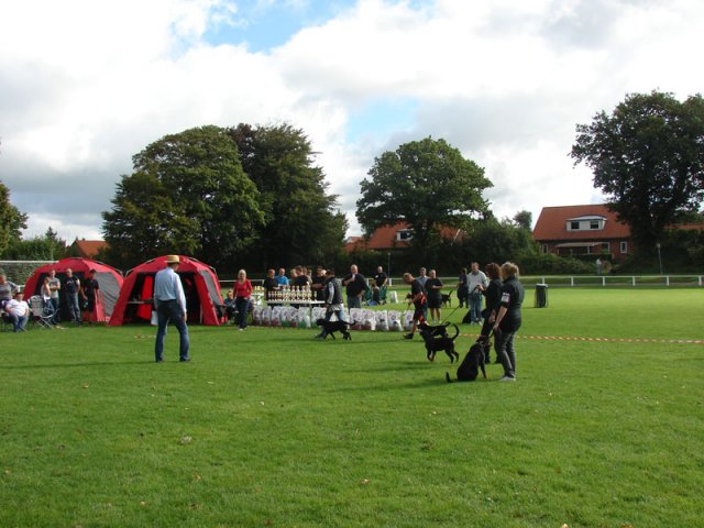 Rødding 2012 lørdag