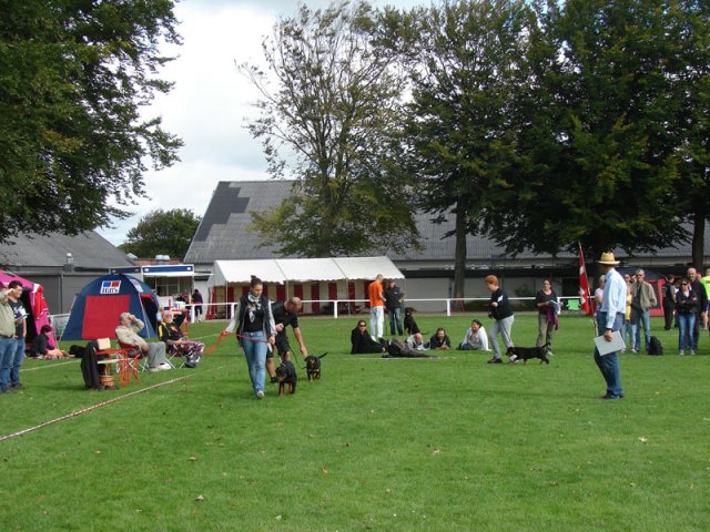 Rødding 2012 lørdag