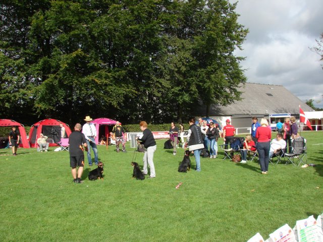 Rødding 2012 lørdag