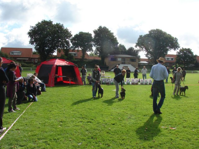 Rødding 2012 lørdag