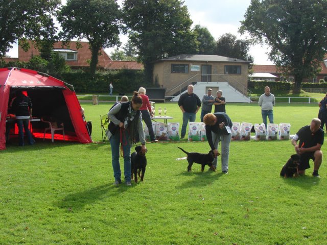 Rødding 2012 lørdag