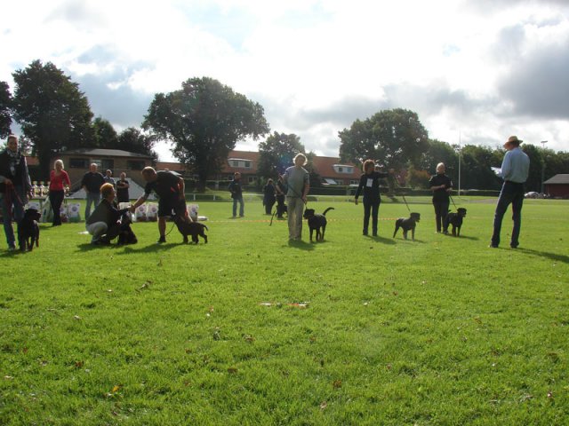 Rødding 2012 lørdag