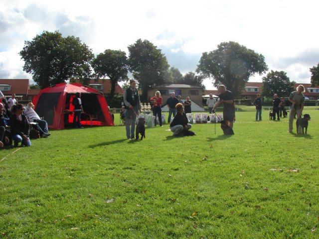 Rødding 2012 lørdag