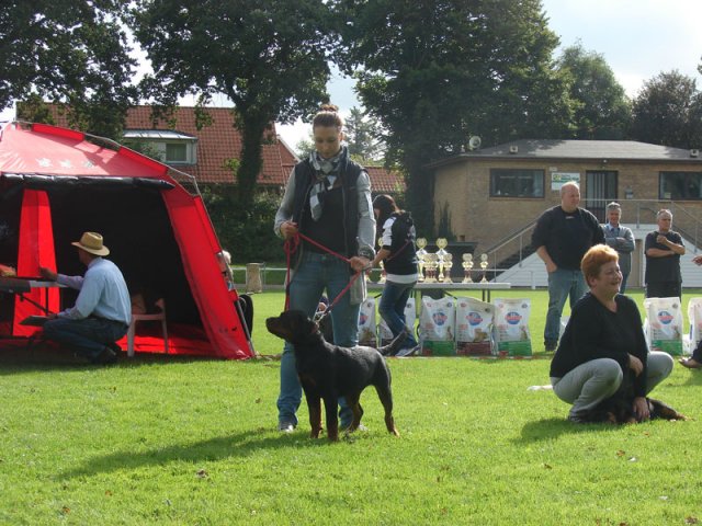Rødding 2012 lørdag