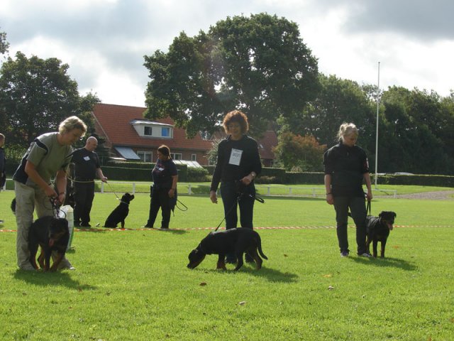 Rødding 2012 lørdag